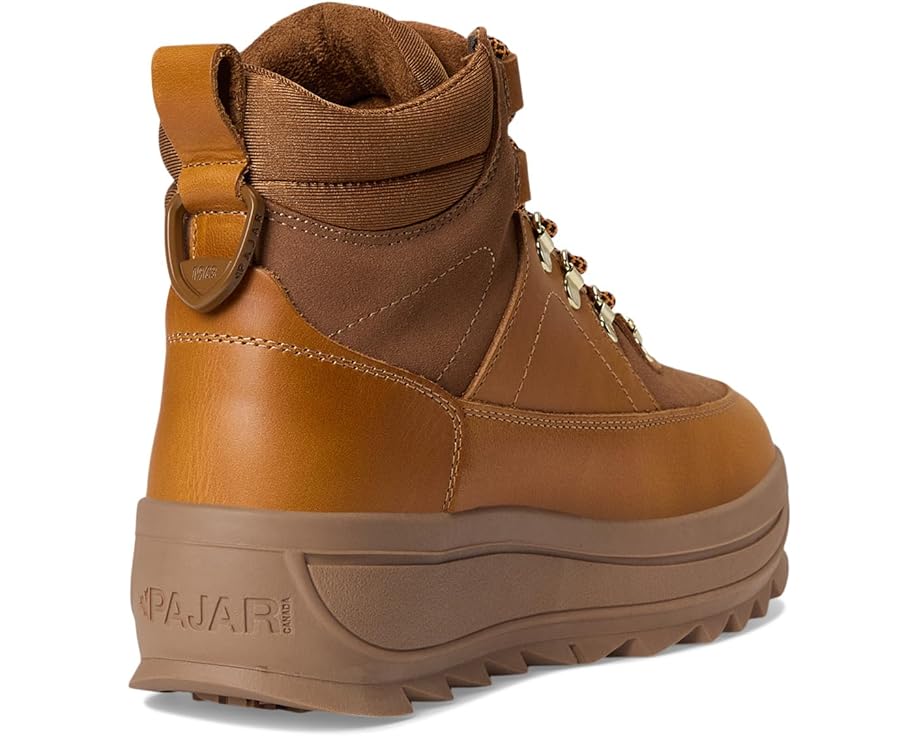 Pajar Galpina Chestnut