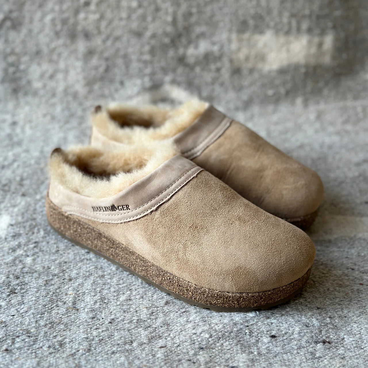 Haflinger Snowbird Sahara
