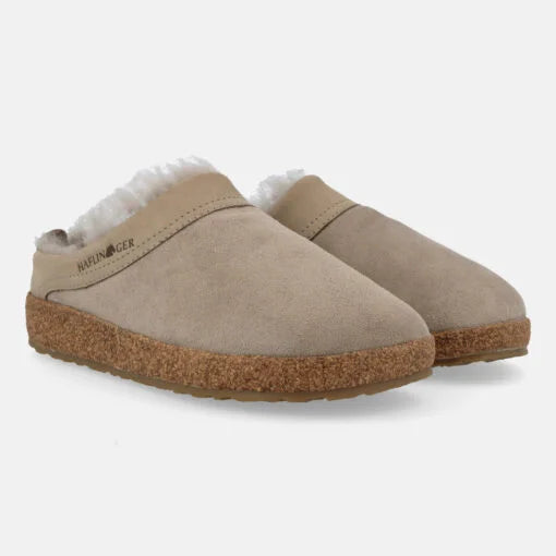 Haflinger Snowbird Sahara