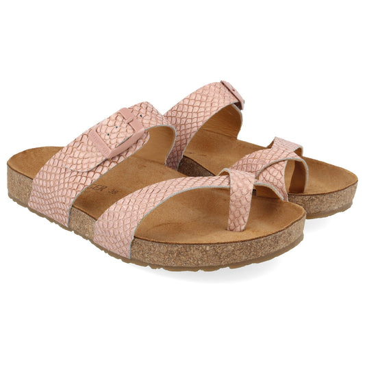 Haflinger Juno Rose' Print