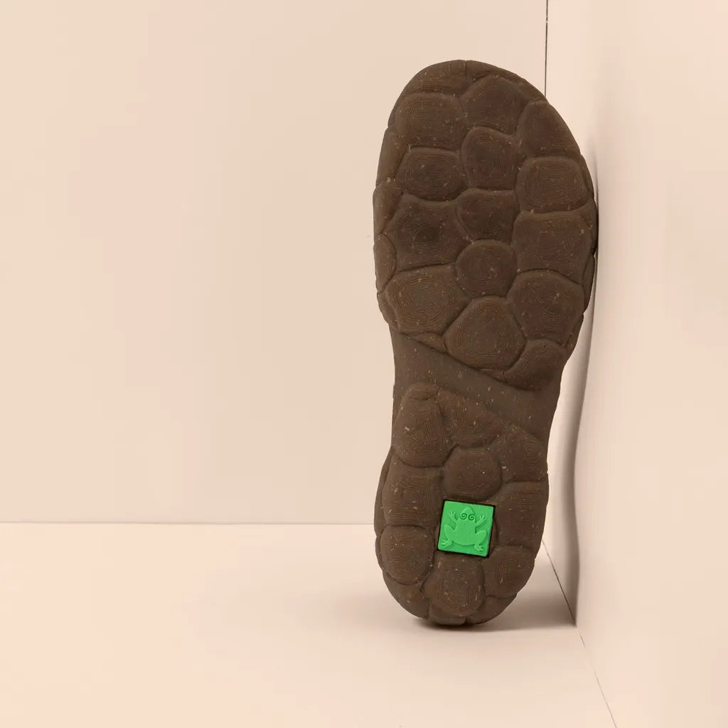 El Naturalista Turtle Chukka Terra