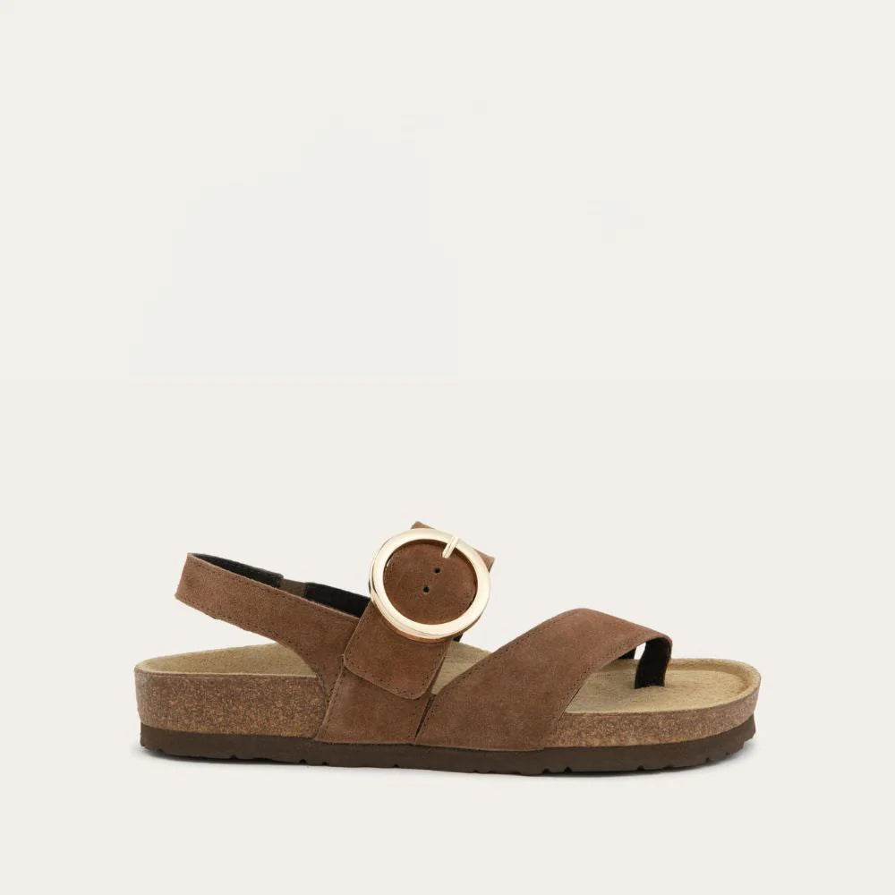 Naot Baltimore Brown Cedar Suede