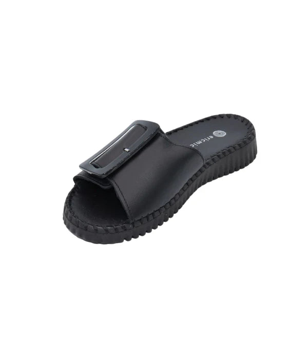 Eric Michael Darla Black/Black